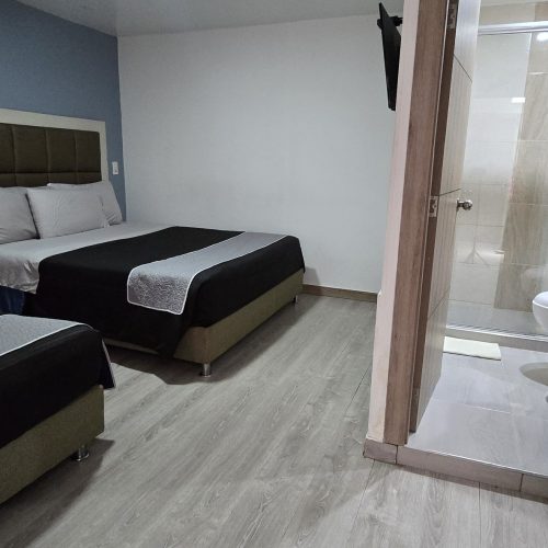 Habitación triple familiar(Cama doble y una sencilla)